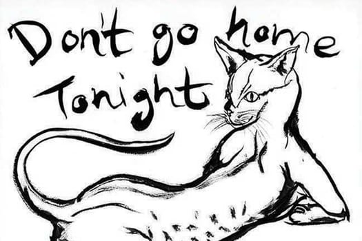 Immagine - c15c2e0e-c5ac-4850-adc0-3a9b8d2c361d