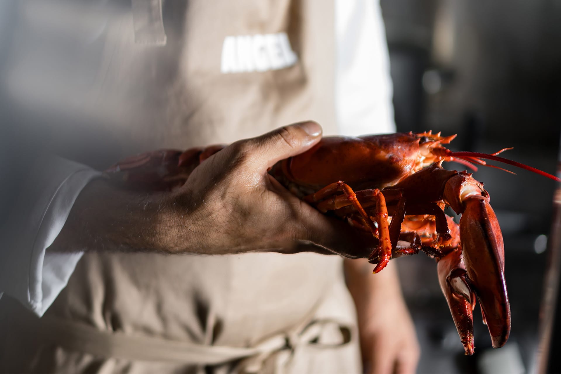 Image - 56e84491-54d3-4ae6-9407-54ed0f5f2fa3