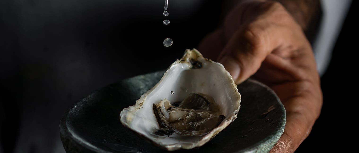 Image - 4d7aa7c9-0ea0-49c3-bc86-77fd7eca7fae